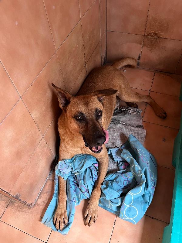 ARGO ALLA RICERCA DI CASA E AMORE Foto 7